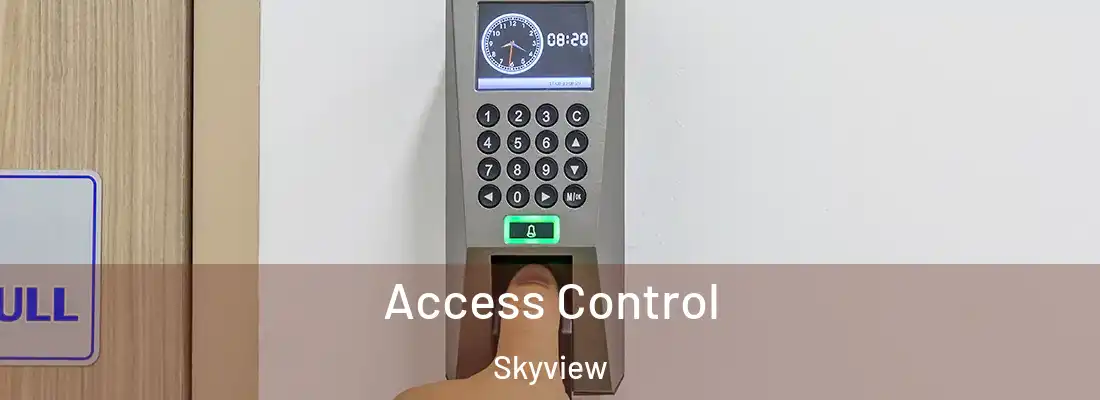  Access Control Skyview