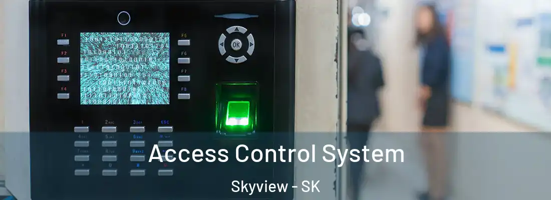  Access Control System Skyview - SK