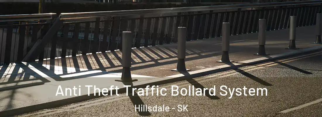  Anti Theft Traffic Bollard System Hillsdale - SK