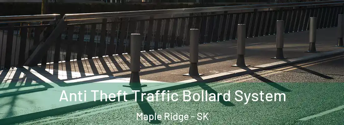 Anti Theft Traffic Bollard System Maple Ridge - SK