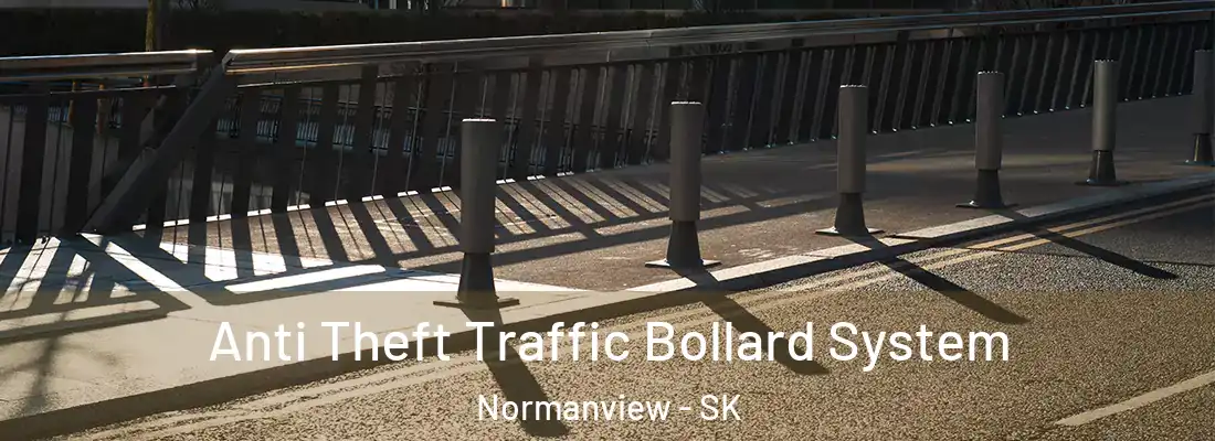 Anti Theft Traffic Bollard System Normanview - SK
