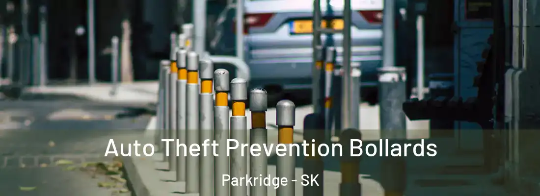  Auto Theft Prevention Bollards Parkridge - SK