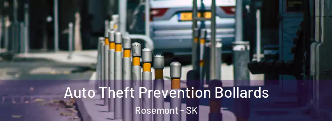  Auto Theft Prevention Bollards Rosemont - SK