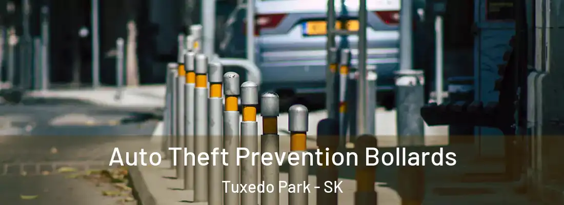  Auto Theft Prevention Bollards Tuxedo Park - SK