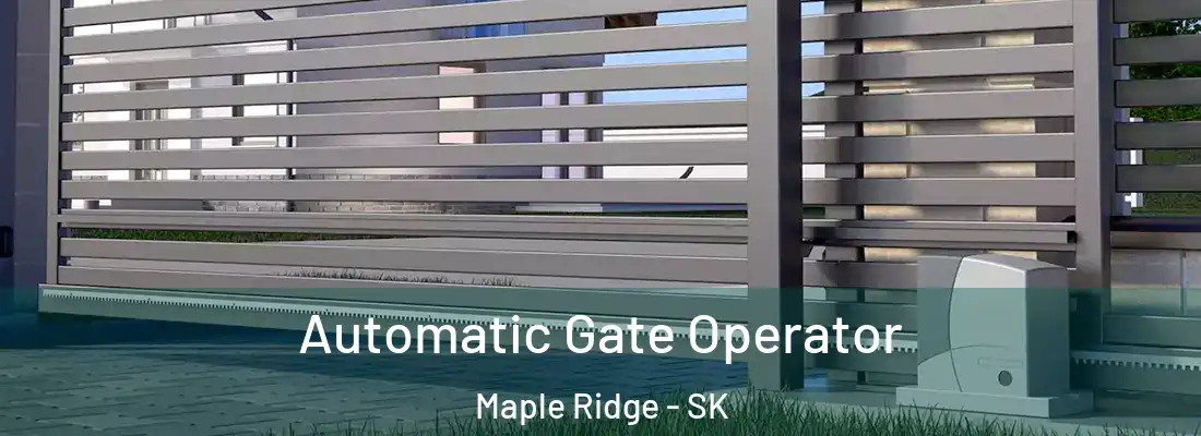  Automatic Gate Operator Maple Ridge - SK