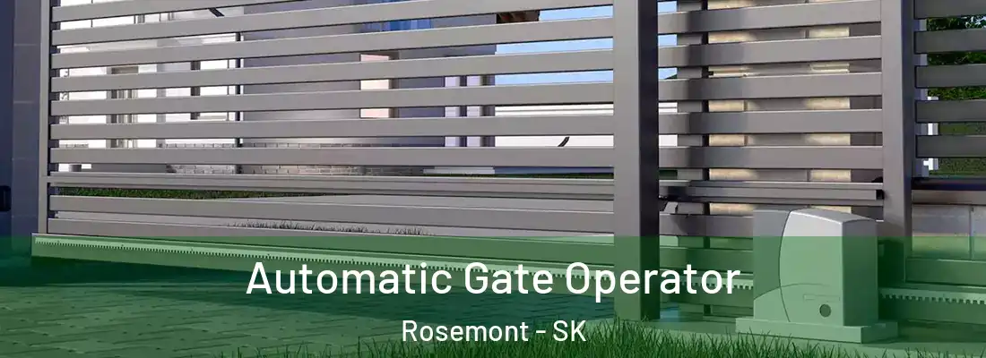  Automatic Gate Operator Rosemont - SK