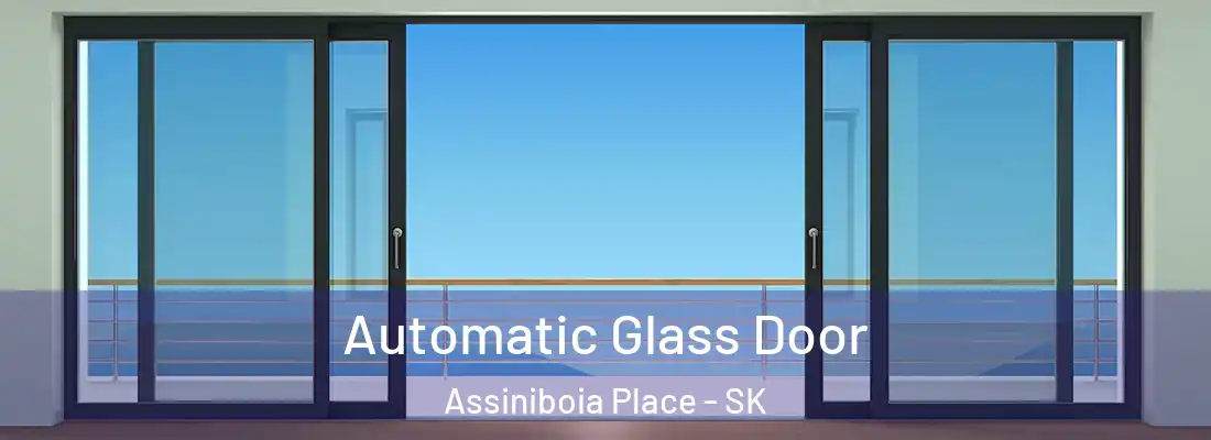  Automatic Glass Door Assiniboia Place - SK