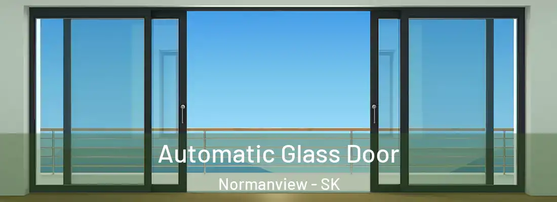  Automatic Glass Door Normanview - SK