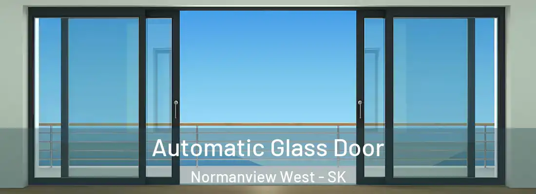 Automatic Glass Door Normanview West - SK