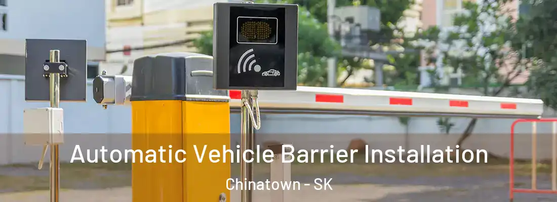  Automatic Vehicle Barrier Installation Chinatown - SK