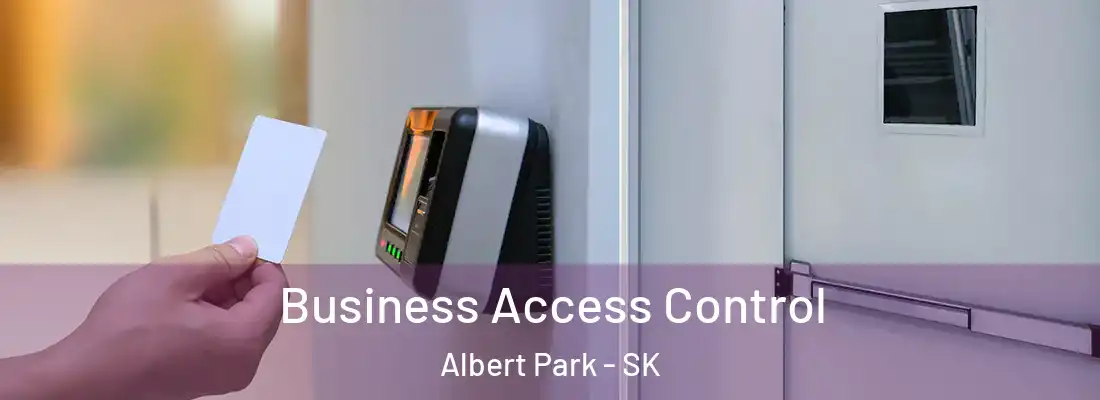  Business Access Control Albert Park - SK