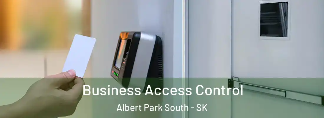  Business Access Control Albert Park South - SK
