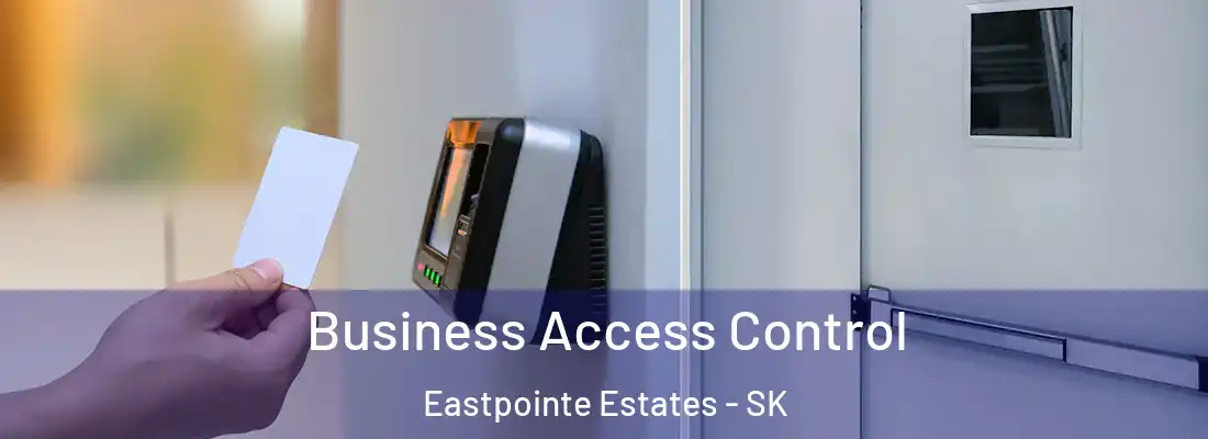  Business Access Control Eastpointe Estates - SK