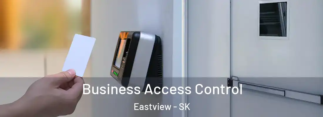 Business Access Control Eastview - SK