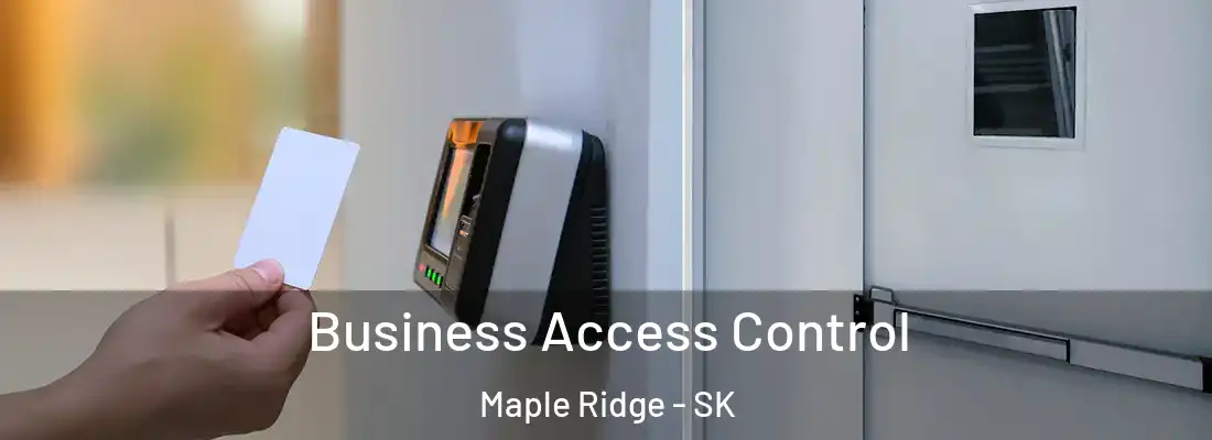 Business Access Control Maple Ridge - SK