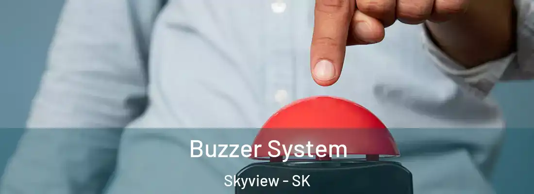 Buzzer System Skyview - SK