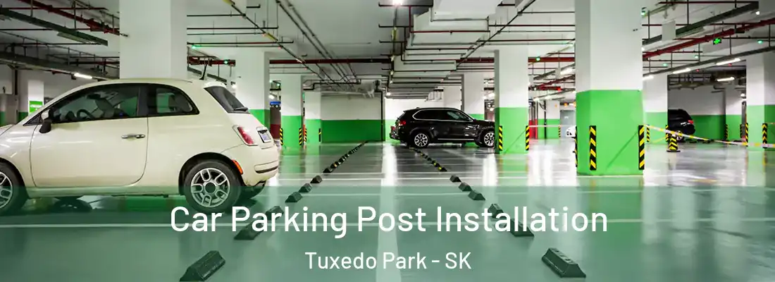  Car Parking Post Installation Tuxedo Park - SK