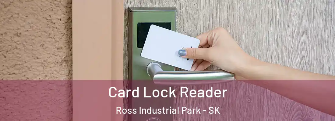  Card Lock Reader Ross Industrial Park - SK