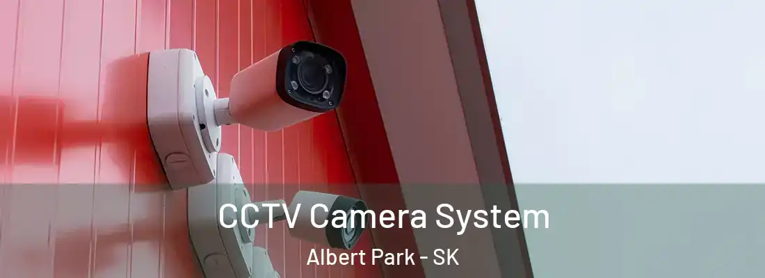  CCTV Camera System Albert Park - SK
