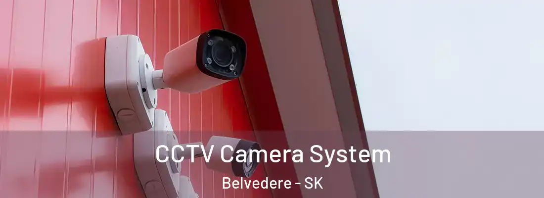  CCTV Camera System Belvedere - SK