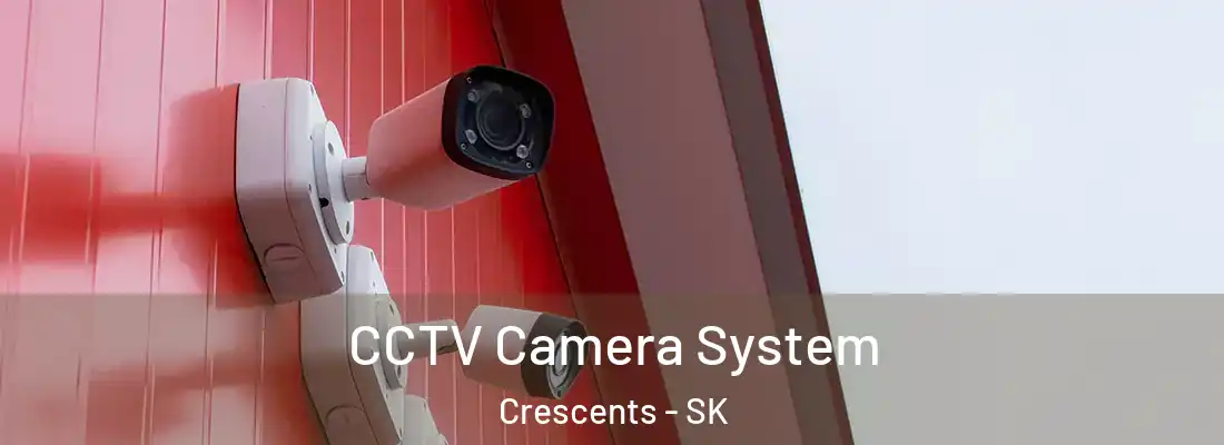  CCTV Camera System Crescents - SK