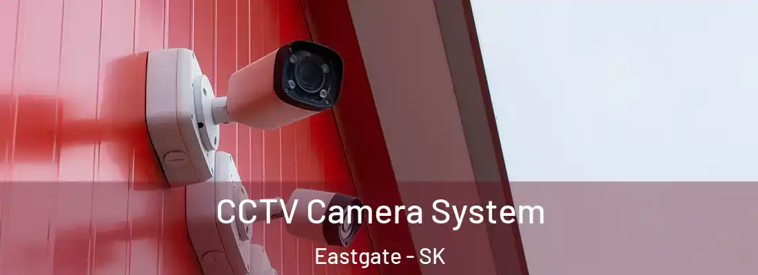  CCTV Camera System Eastgate - SK