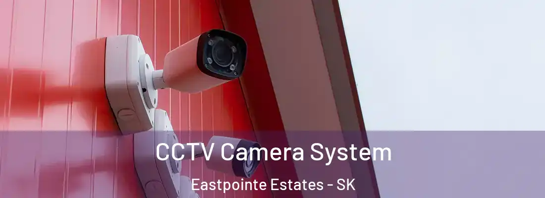  CCTV Camera System Eastpointe Estates - SK