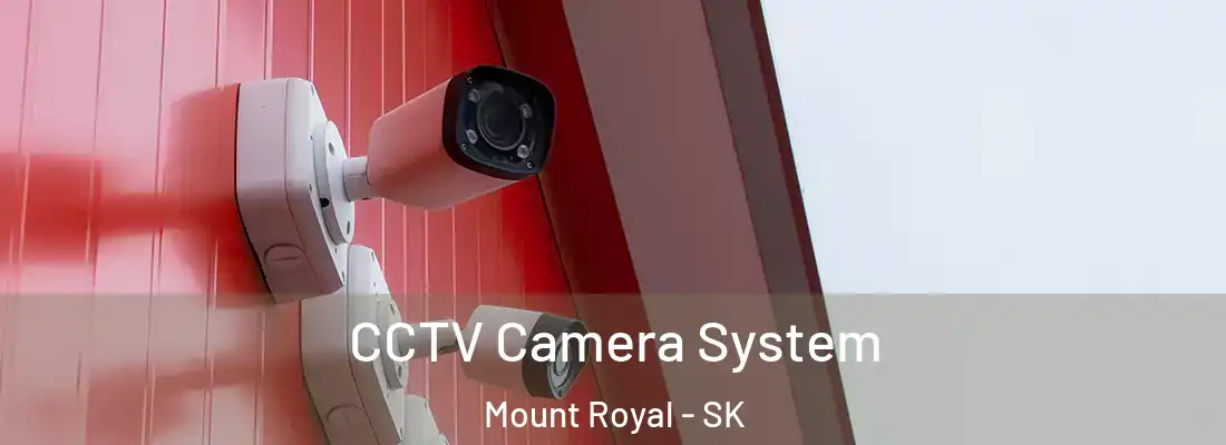  CCTV Camera System Mount Royal - SK