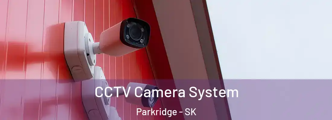  CCTV Camera System Parkridge - SK