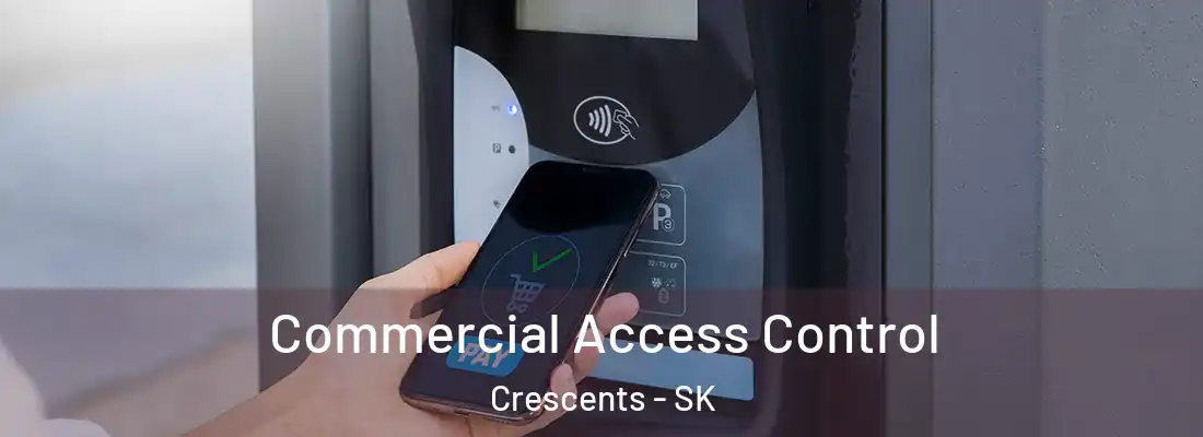  Commercial Access Control Crescents - SK