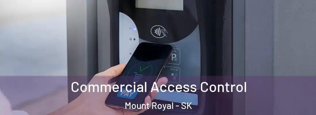  Commercial Access Control Mount Royal - SK