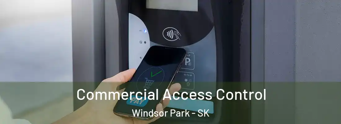  Commercial Access Control Windsor Park - SK