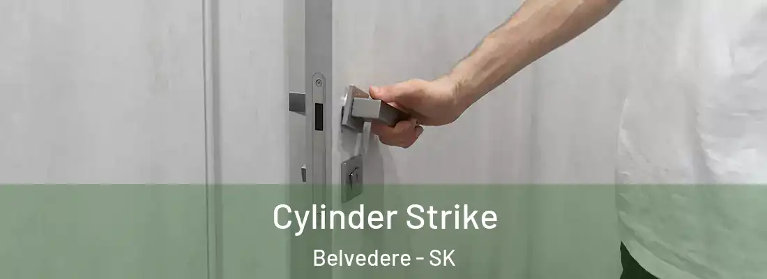  Cylinder Strike Belvedere - SK
