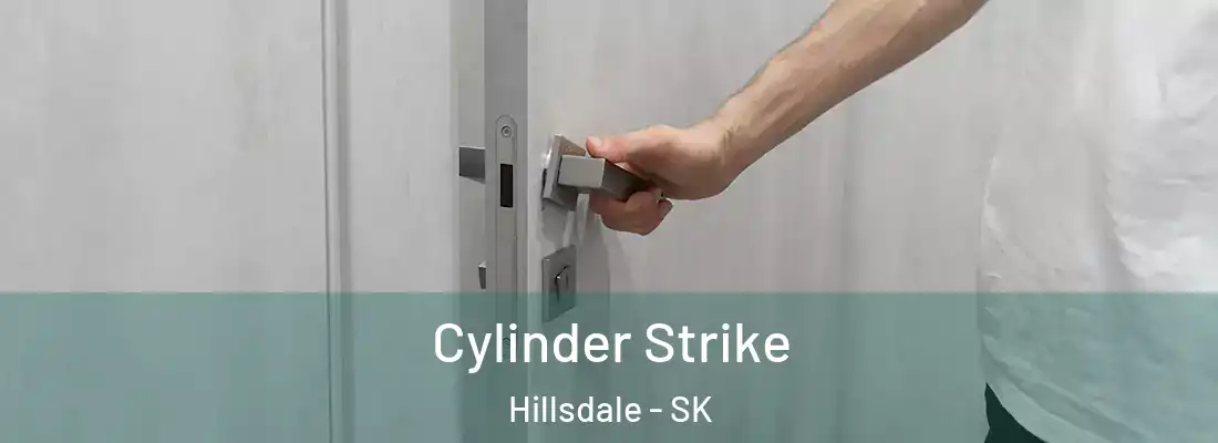  Cylinder Strike Hillsdale - SK