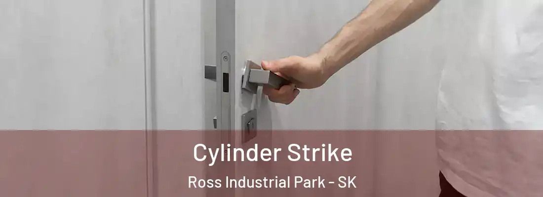  Cylinder Strike Ross Industrial Park - SK