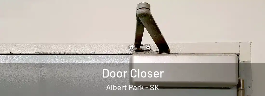  Door Closer Albert Park - SK