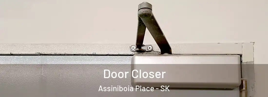  Door Closer Assiniboia Place - SK