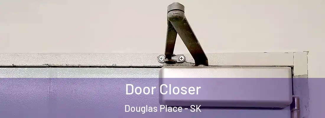  Door Closer Douglas Place - SK