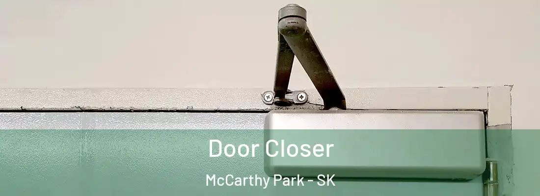  Door Closer McCarthy Park - SK