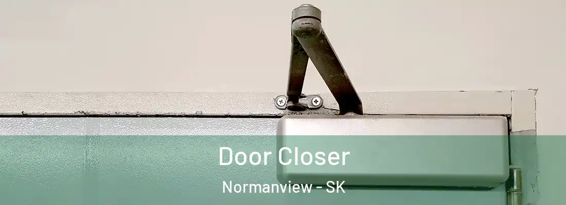  Door Closer Normanview - SK