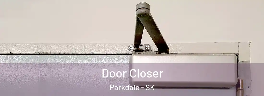  Door Closer Parkdale - SK