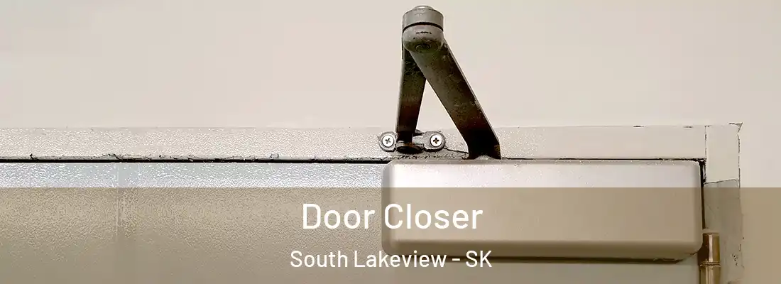  Door Closer South Lakeview - SK