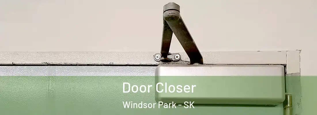  Door Closer Windsor Park - SK