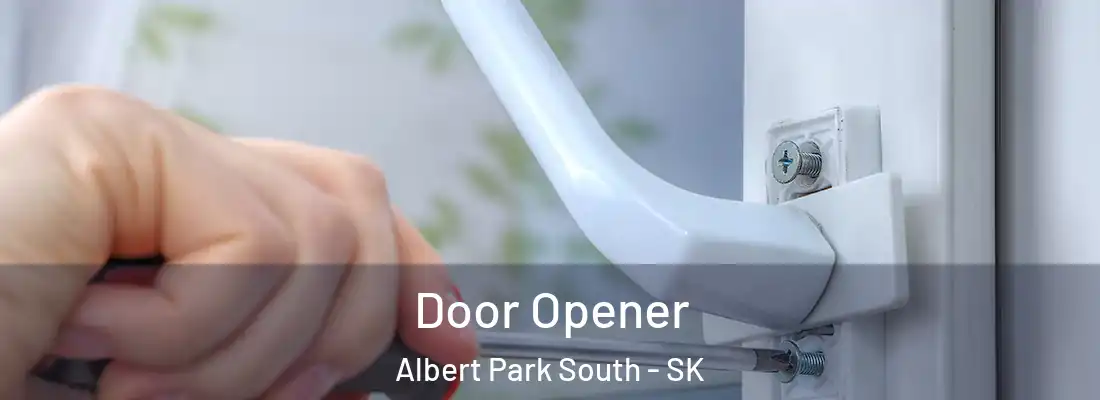  Door Opener Albert Park South - SK