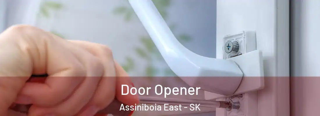  Door Opener Assiniboia East - SK