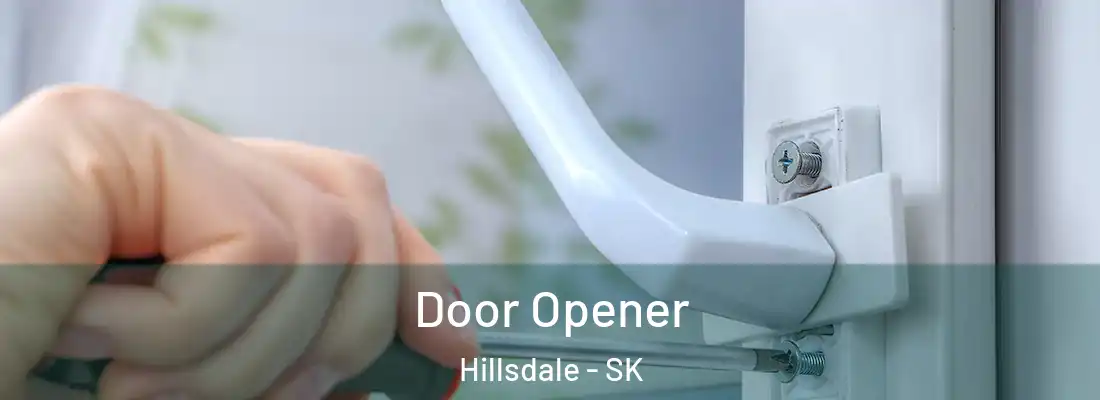  Door Opener Hillsdale - SK