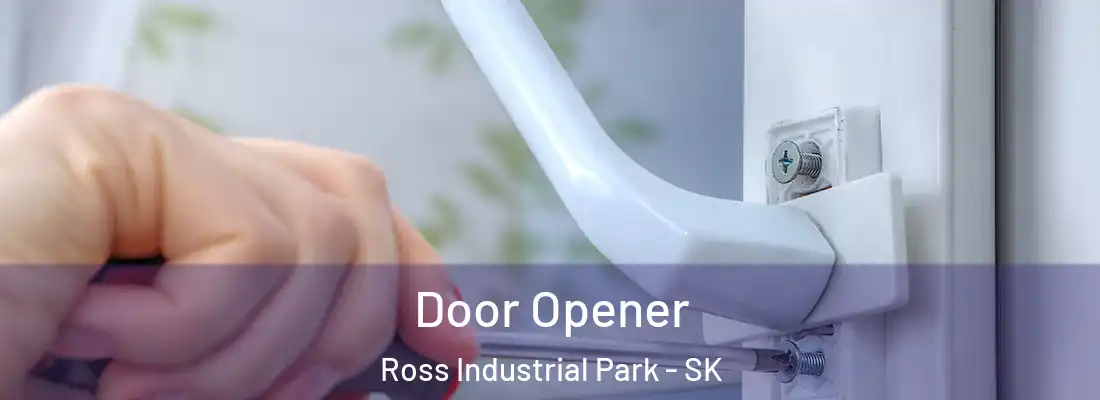 Door Opener Ross Industrial Park - SK
