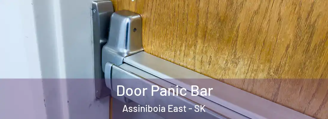  Door Panic Bar Assiniboia East - SK