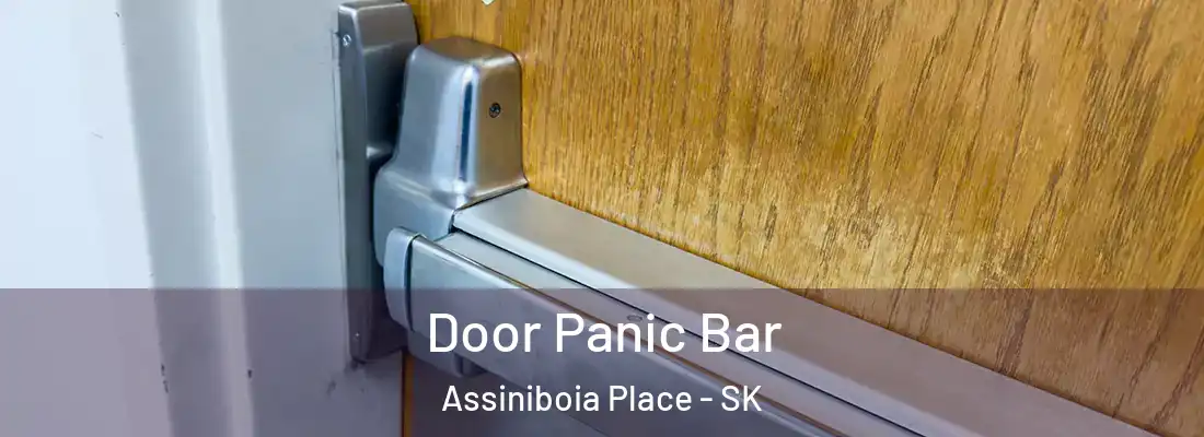  Door Panic Bar Assiniboia Place - SK