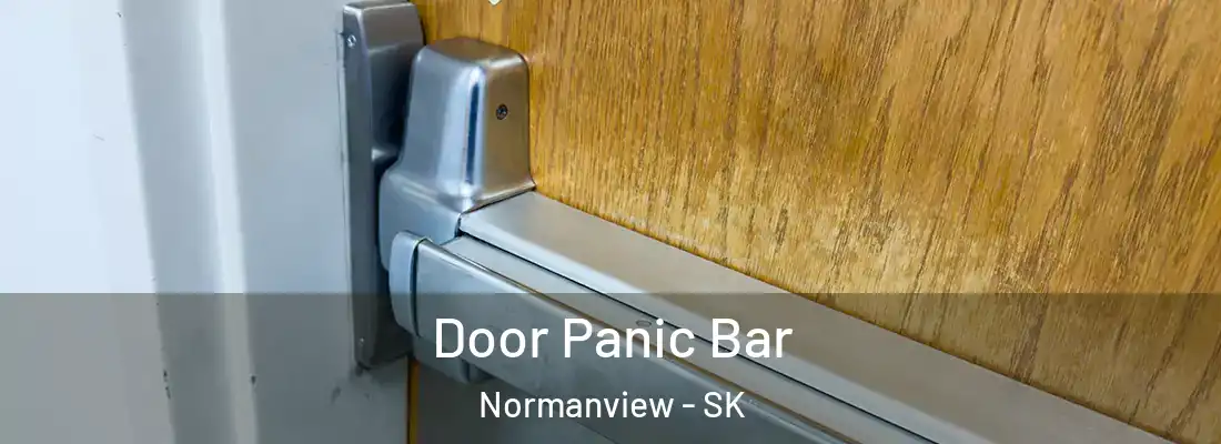  Door Panic Bar Normanview - SK